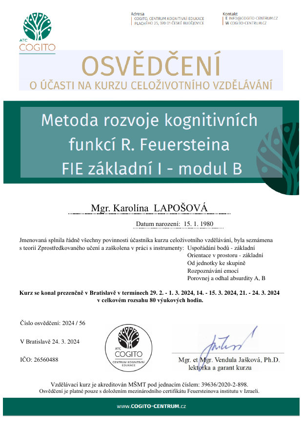 Feuerstein FIE